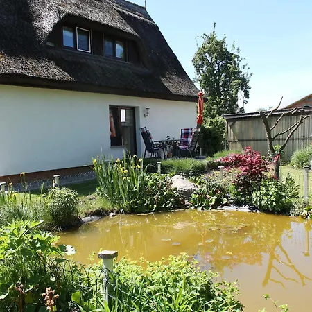 Apartment Cosy In Near Baltic Sea Pepelow