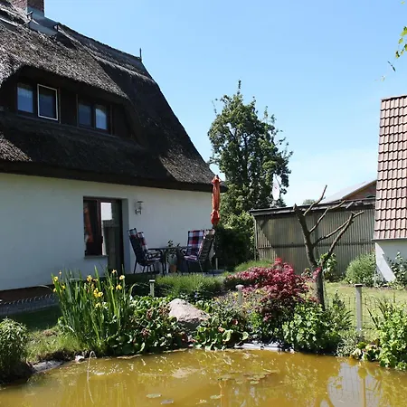 Cosy In Near Baltic Sea * Pepelow