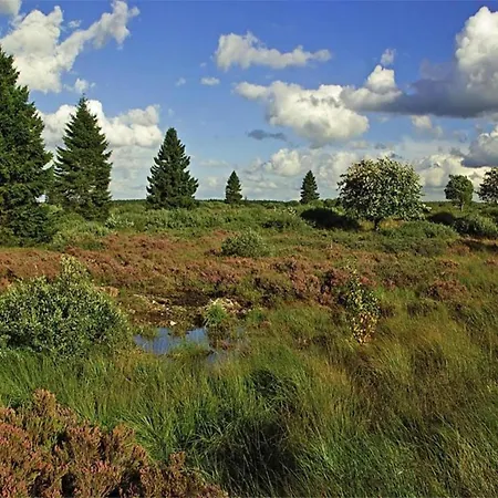 Cosy In Near Baltic Sea * Pepelow