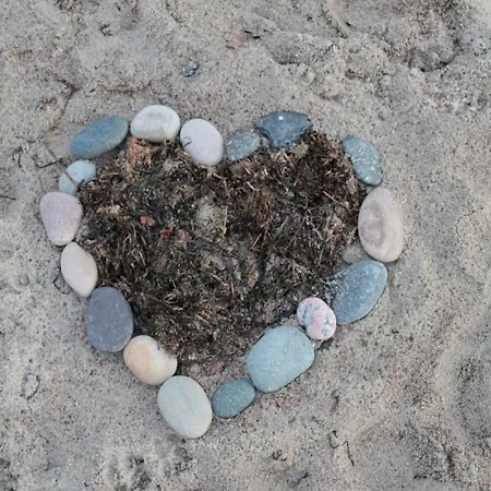 Cosy In Near Baltic Sea Apartamento *