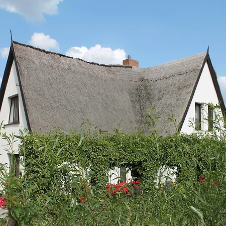 Cosy In Near Baltic Sea Apartmán
