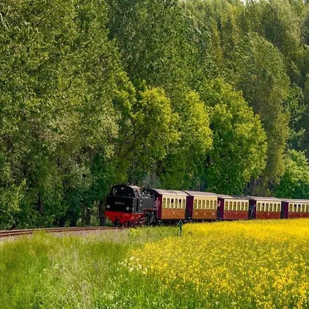 Cosy In Near Baltic Sea Apartmán Pepelow
