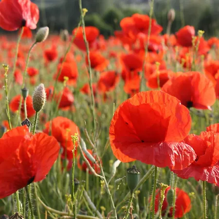 Apartamento Cosy In Near Baltic Sea *