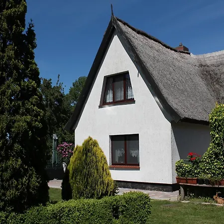 Cosy In Near Baltic Sea Апартаменты *