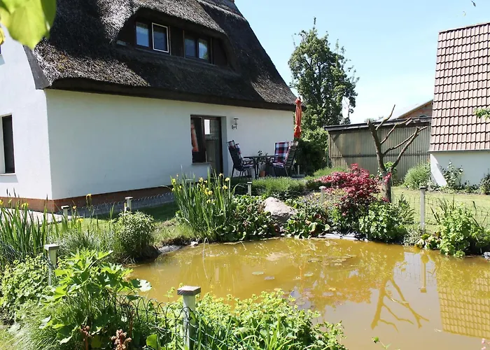 Cosy In Near Baltic Sea Pepelow