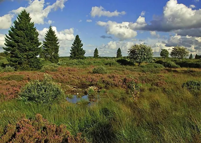 Cosy In Near Baltic Sea * Pepelow