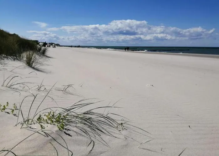 Cosy In Near Baltic Sea *