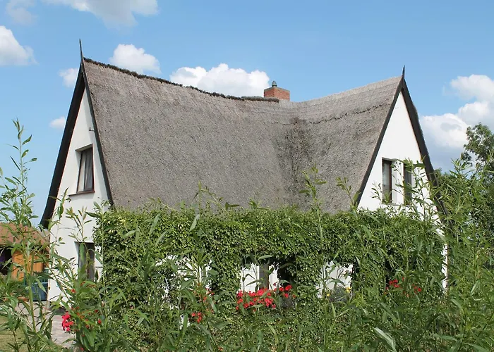 Cosy In Near Baltic Sea Апартаменты