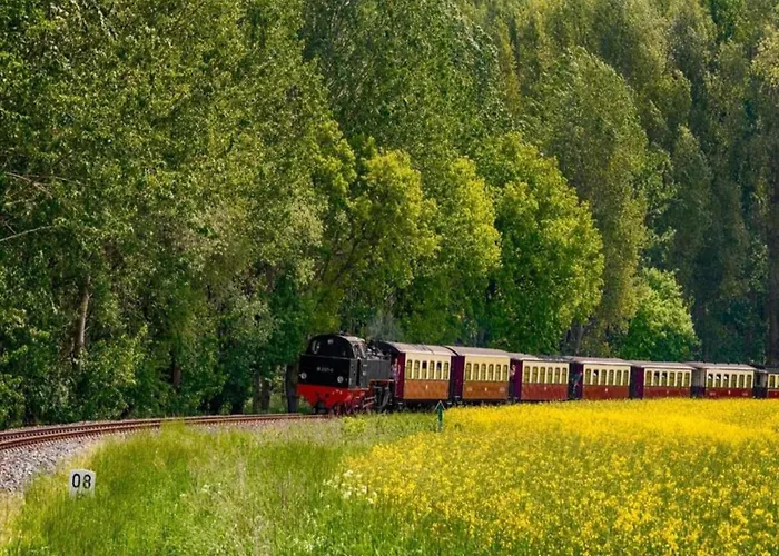 Cosy In Near Baltic Sea Апартаменты Pepelow